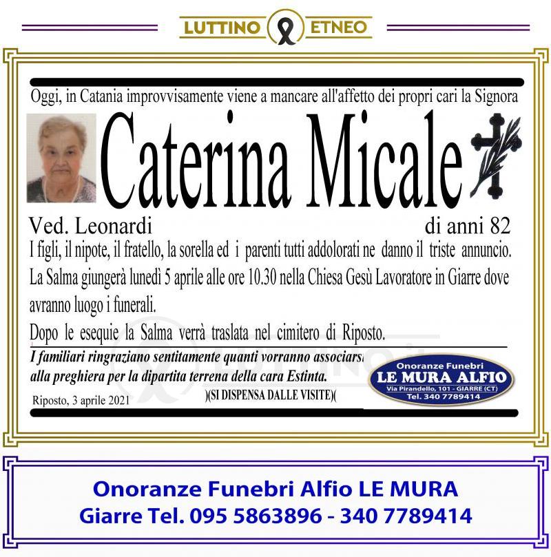 Caterina  Micale 